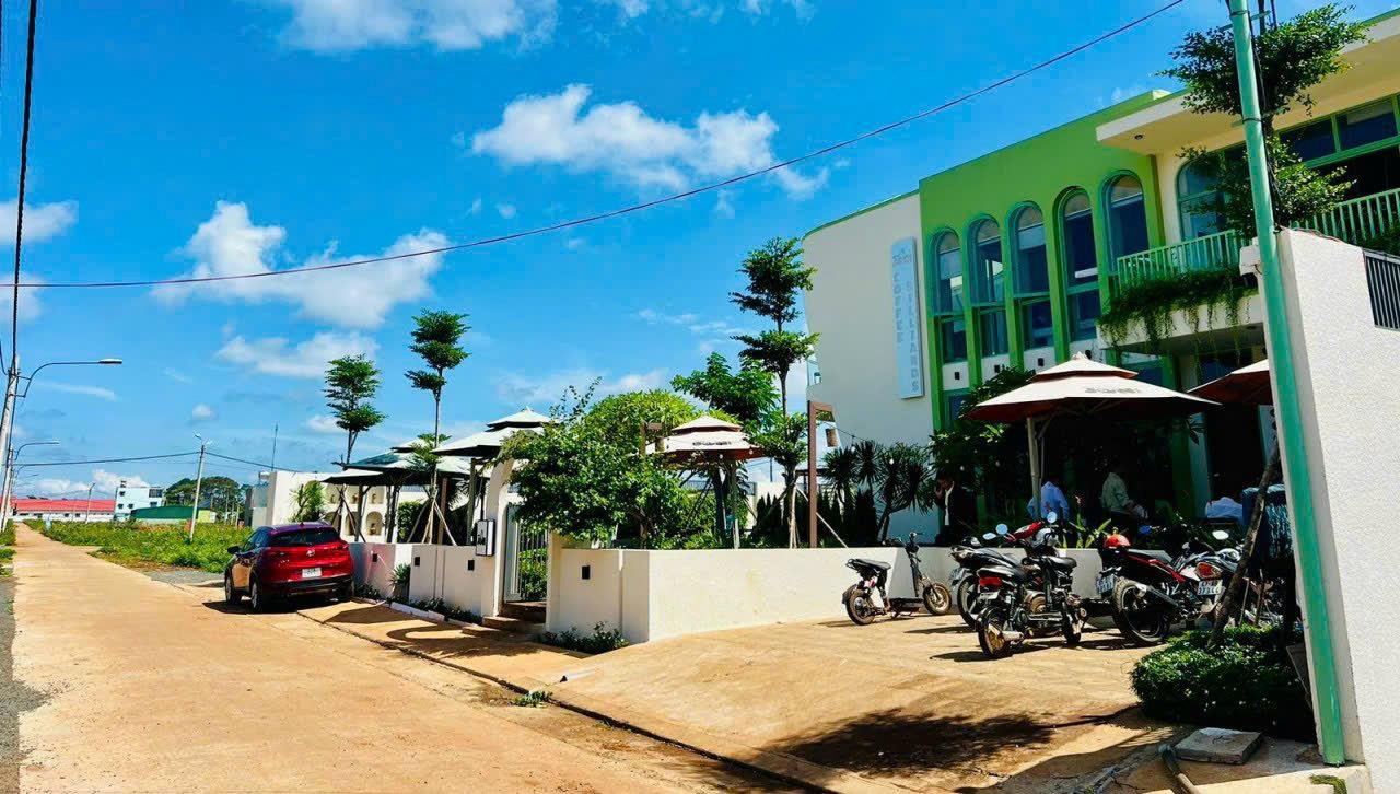 z5556370031537_f0121b0fed90a42abc17e0cc3373a421