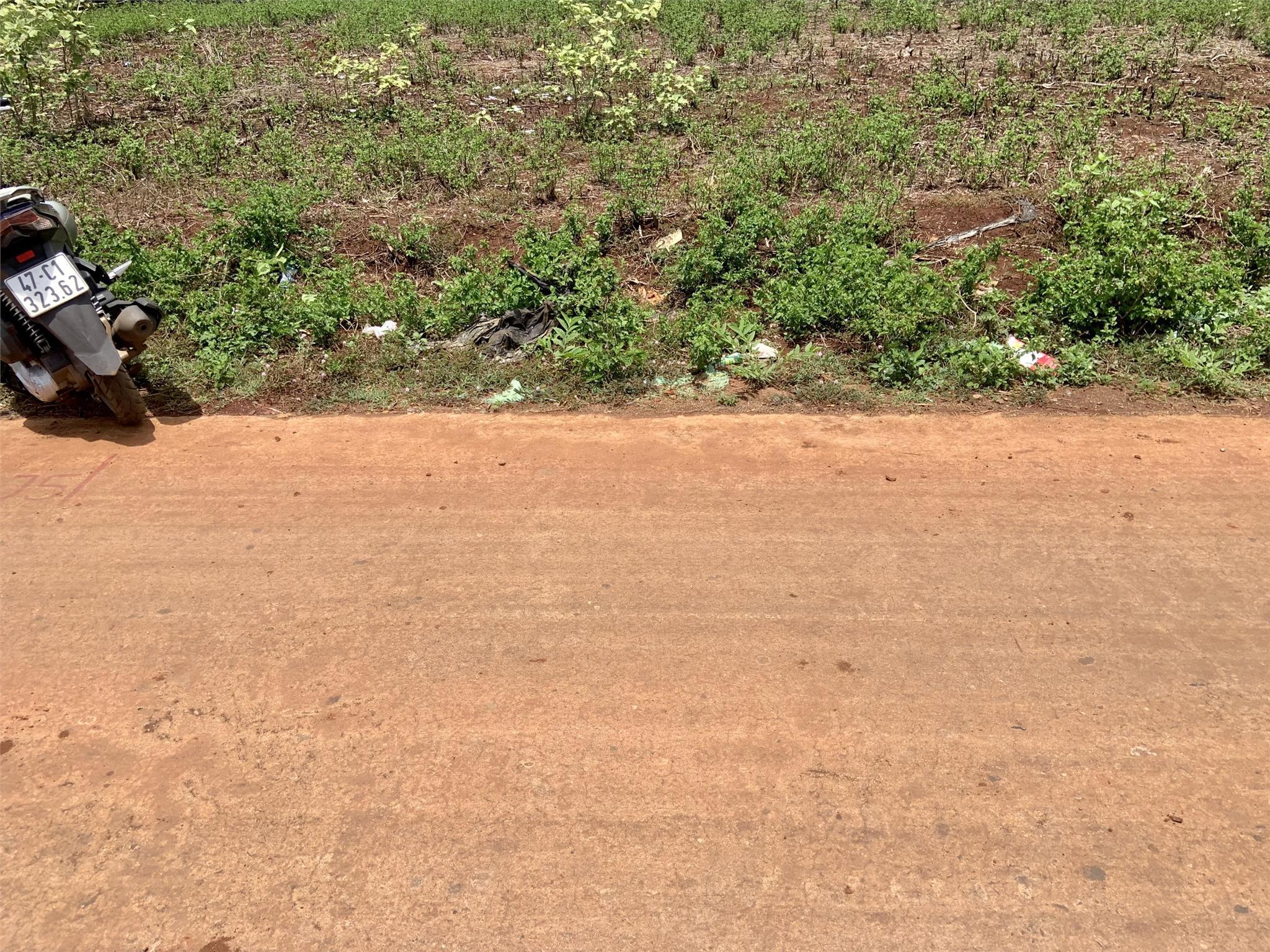 z5556370051615_e2b20b4dedf600550b4847b83dd5f4c4