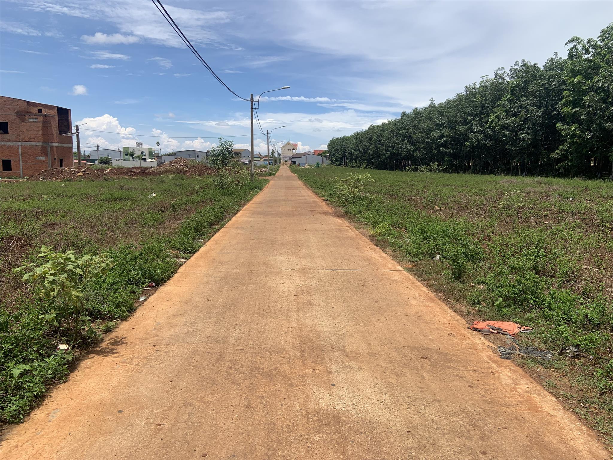 z5556370065739_bfde1363f459fa16a06f205d07ebad72