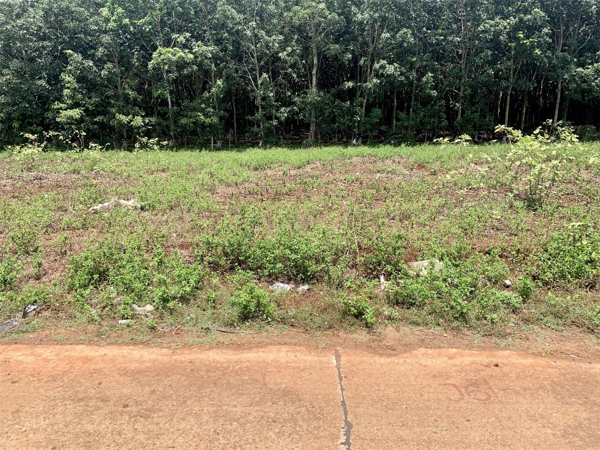 z5556370073962_45d0f0034c16f53111532ed656fe2649