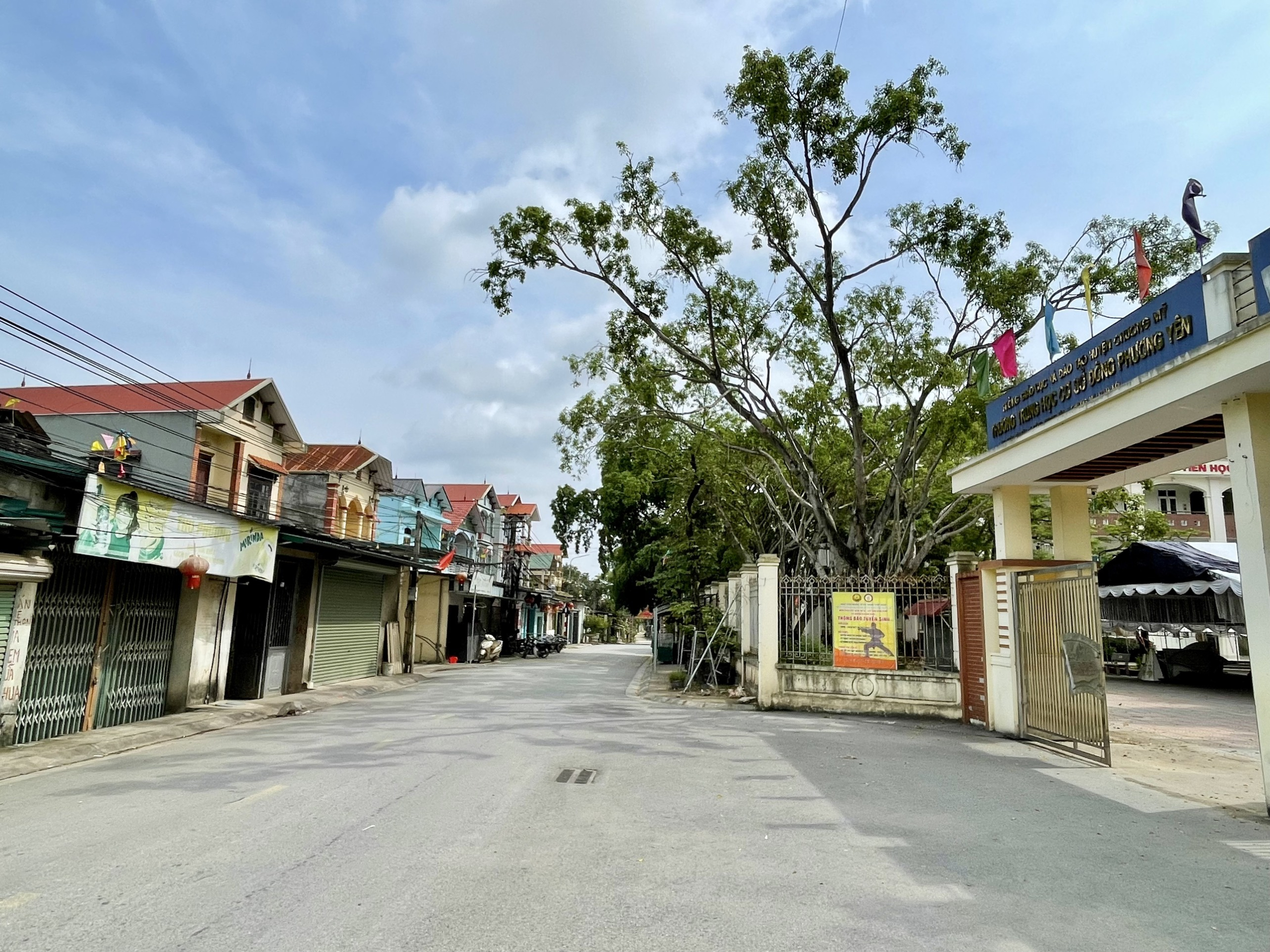 z5562873263314_4b61e48eef4e1381dcea5a18fe4f4678