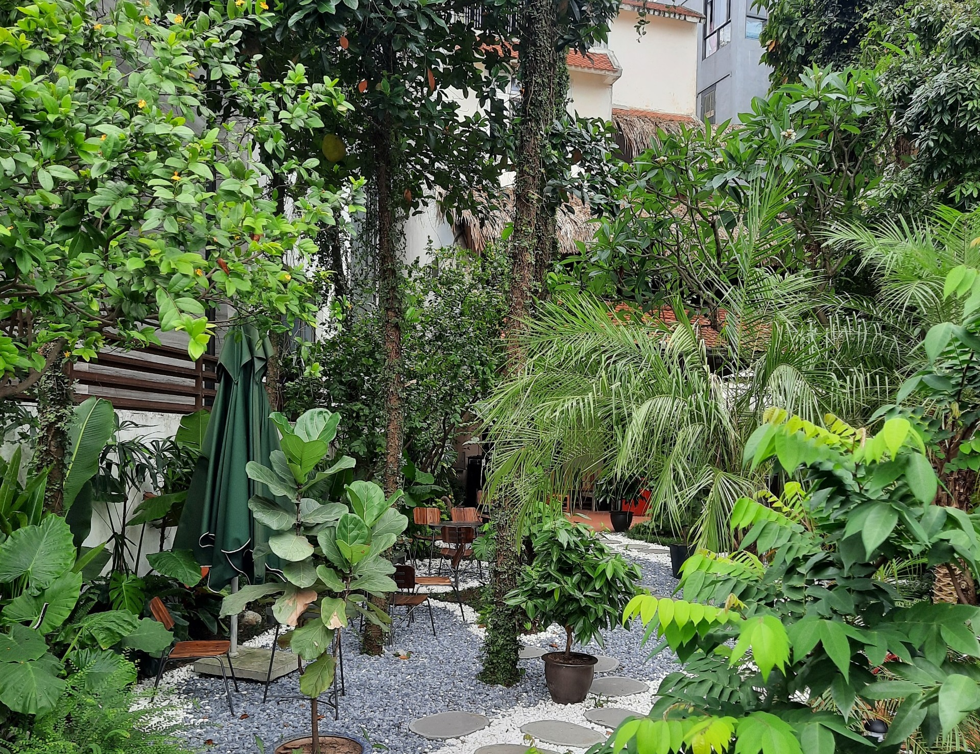 z5565144381258_675740f2a83f2d6bec3c7fe1b348c9a5 – Copy