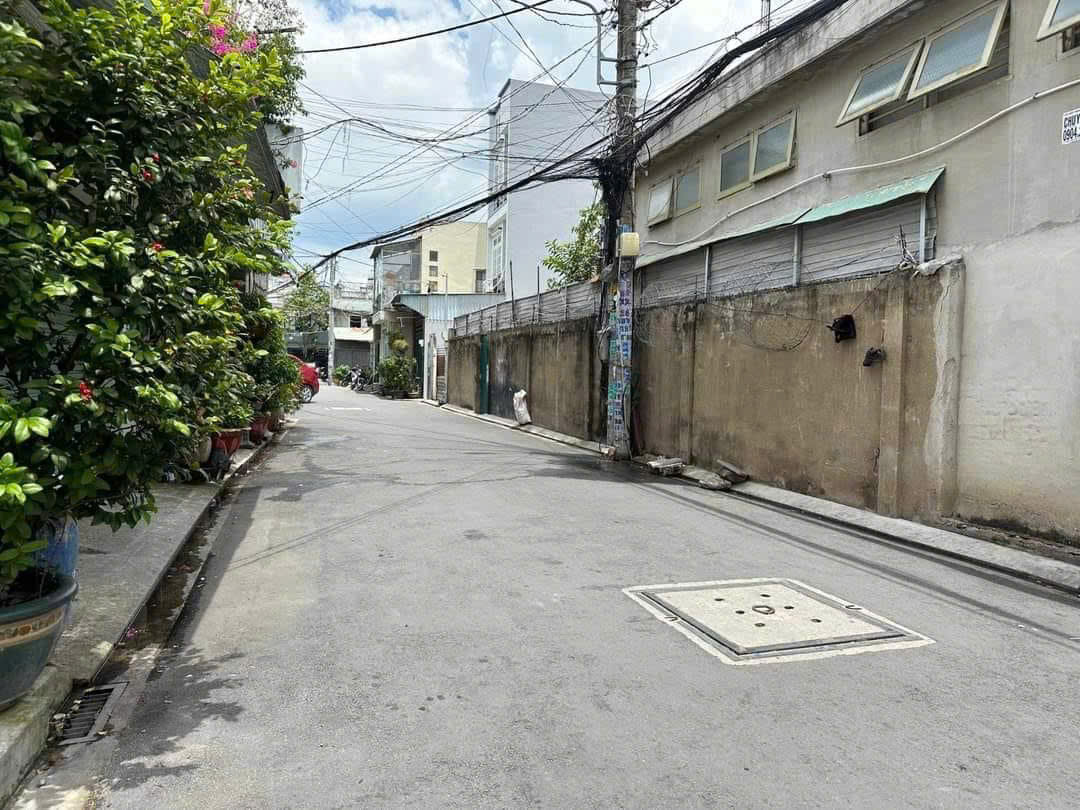 z5589718308953_99db7d3a4e36a9e74a3853ef85692d5c