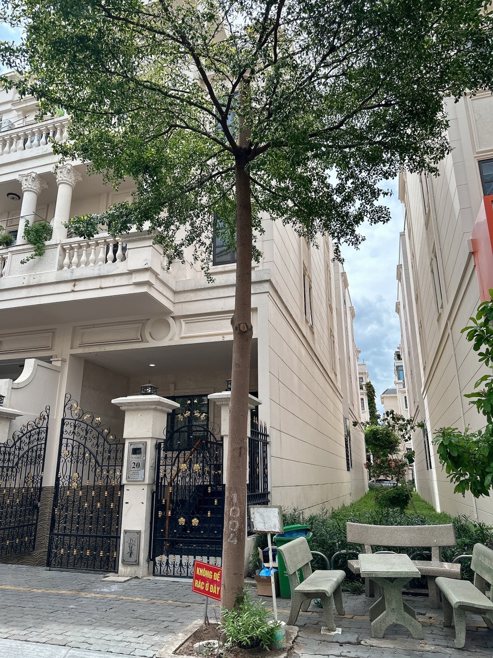 z5590599236602_c9de0ea009375ed8e11b68d343d887b3