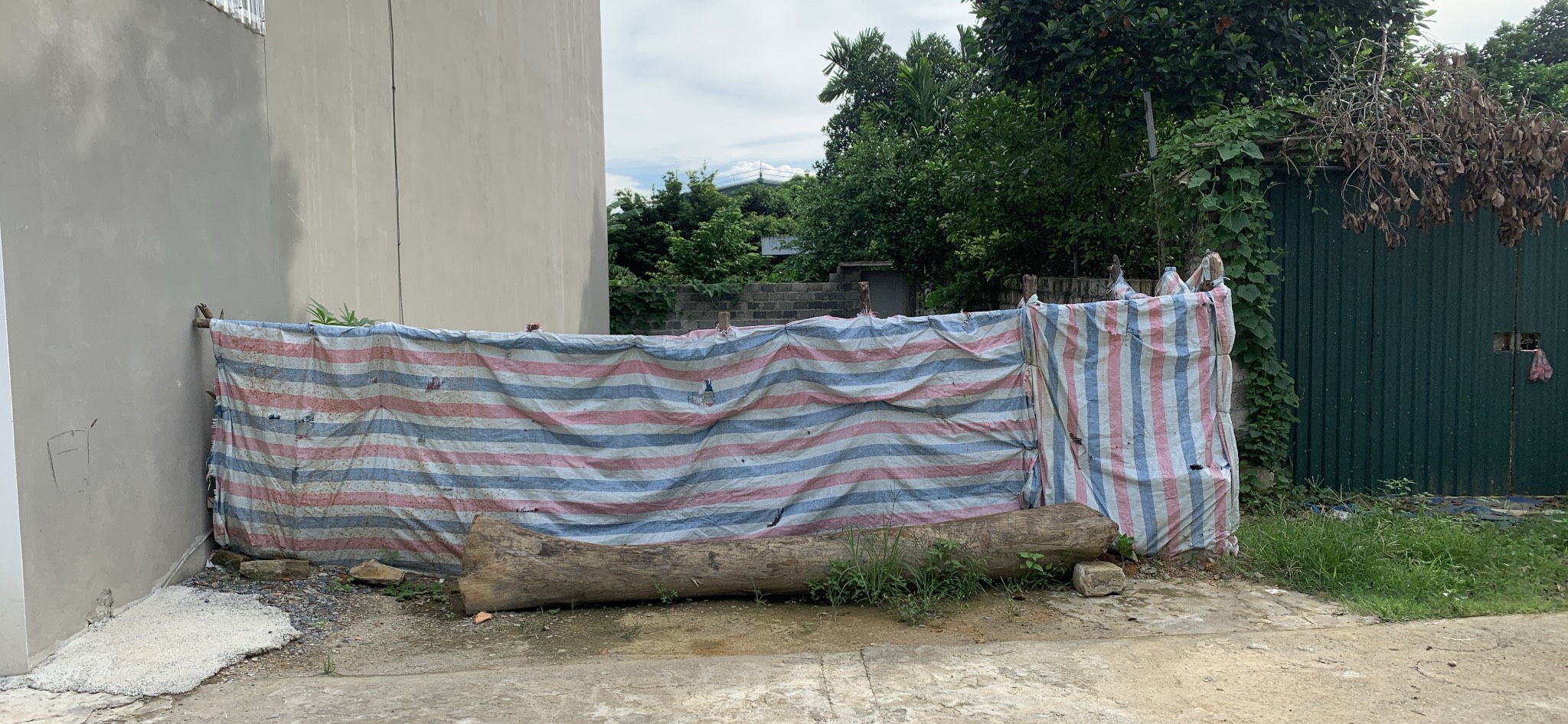 z5592292084400_4ed4cafa4bfde2d80bf0ec0a8f26007e