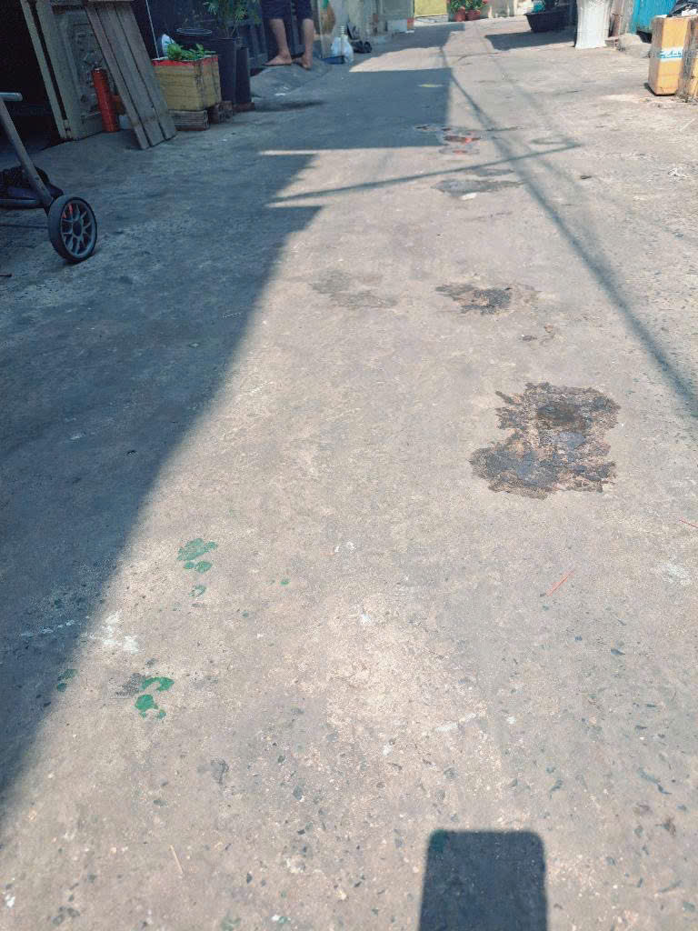 z5595844435288_06c1825ef3e15e63cbfd3b24c19fb959