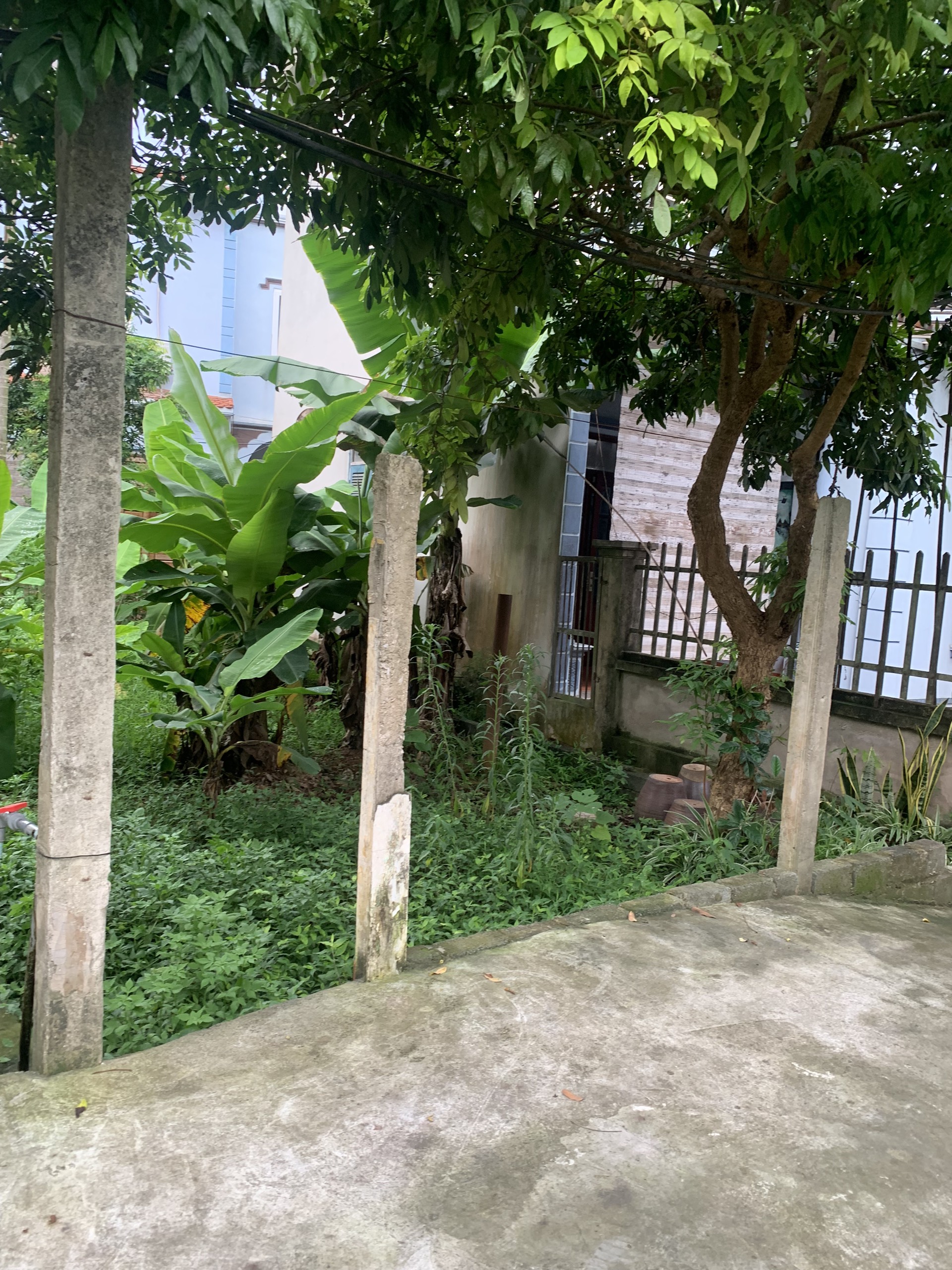 z5599763484253_37e0c8a841bb24015858baea15381bf9