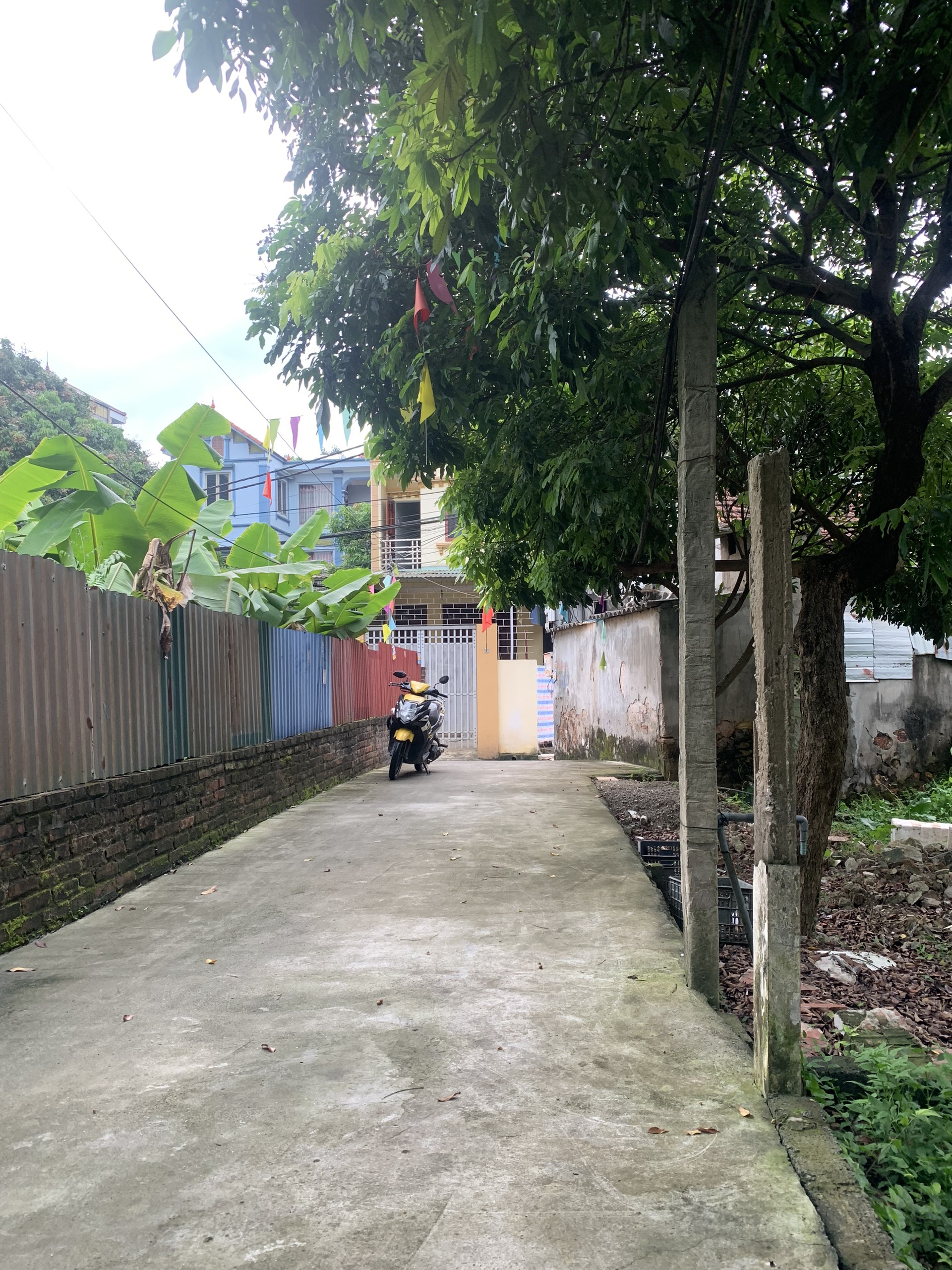 z5599763485517_8d65a3e511a0fb670c3343a3cad31167