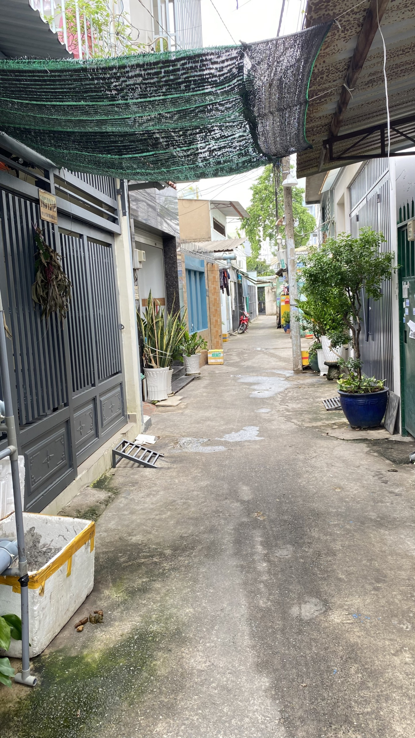 z5600596898814_06bf97794372f1b645dd38ccc148586a