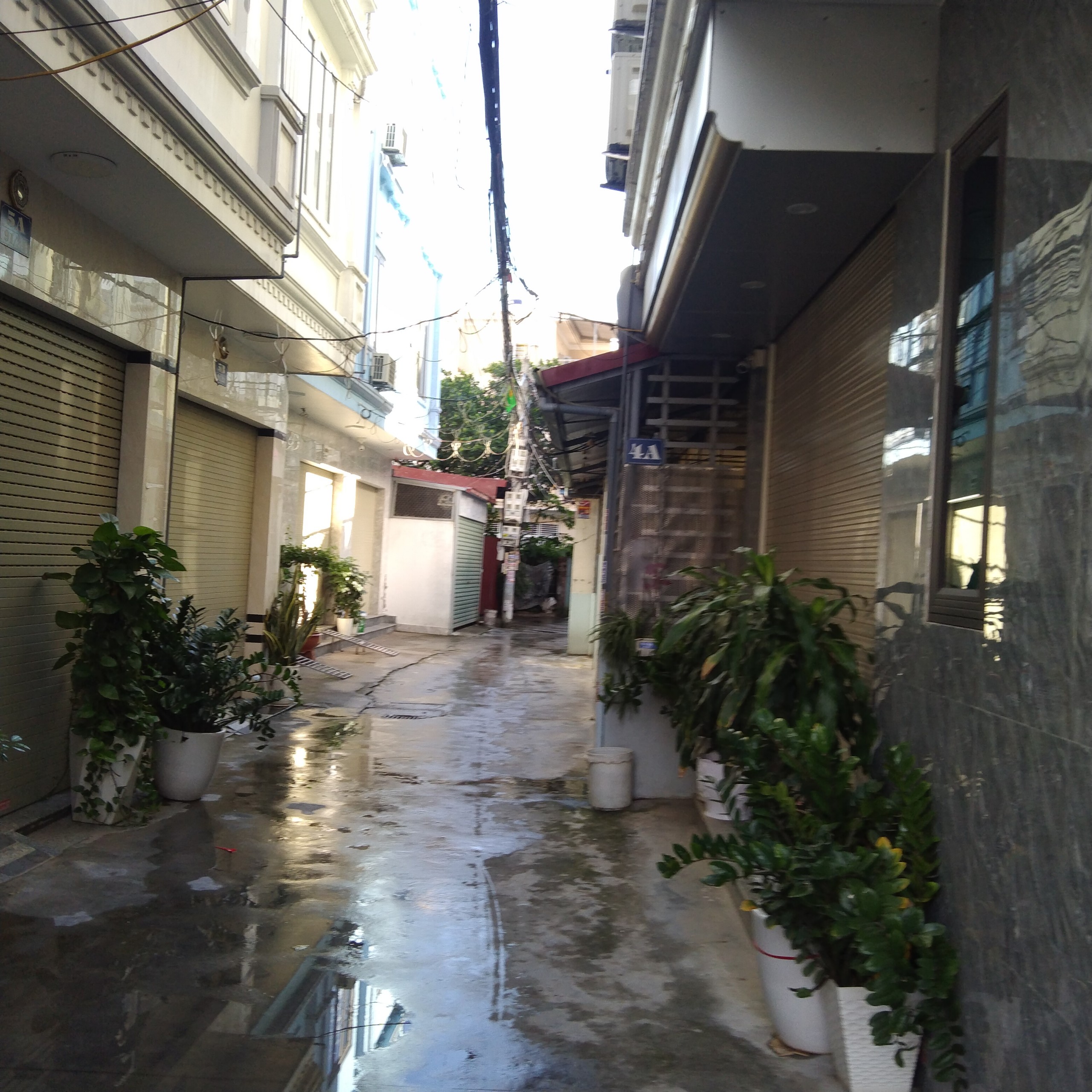 z5603434131542_5a0e11e18977c67d52426e892d395db2