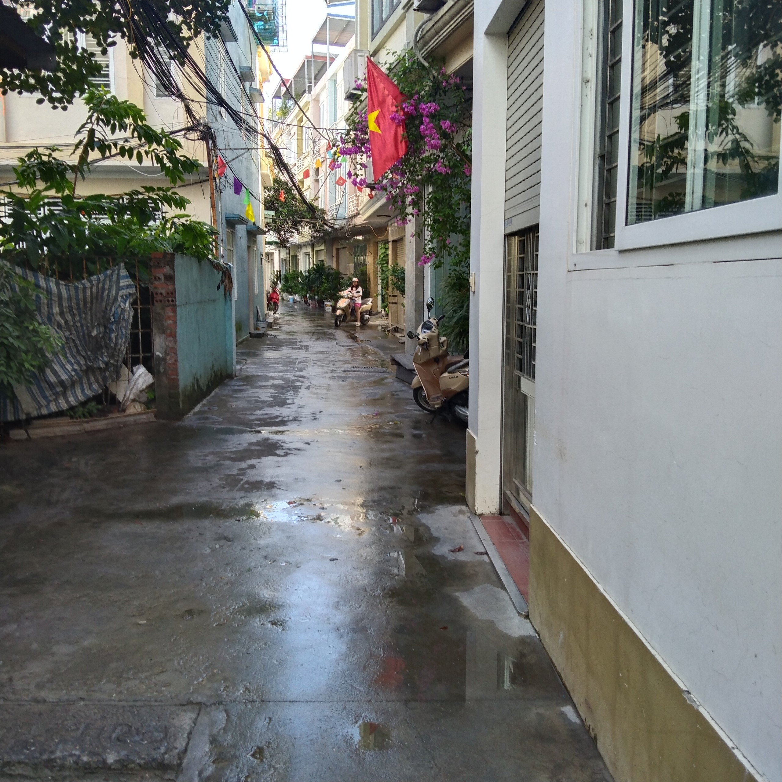 z5603434155211_134dfc9512b1552c6e55c7d30446086d