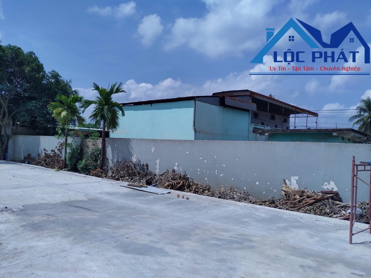 z5604014956074_e812cf502a6d516e59d8bfc9a4ba4210