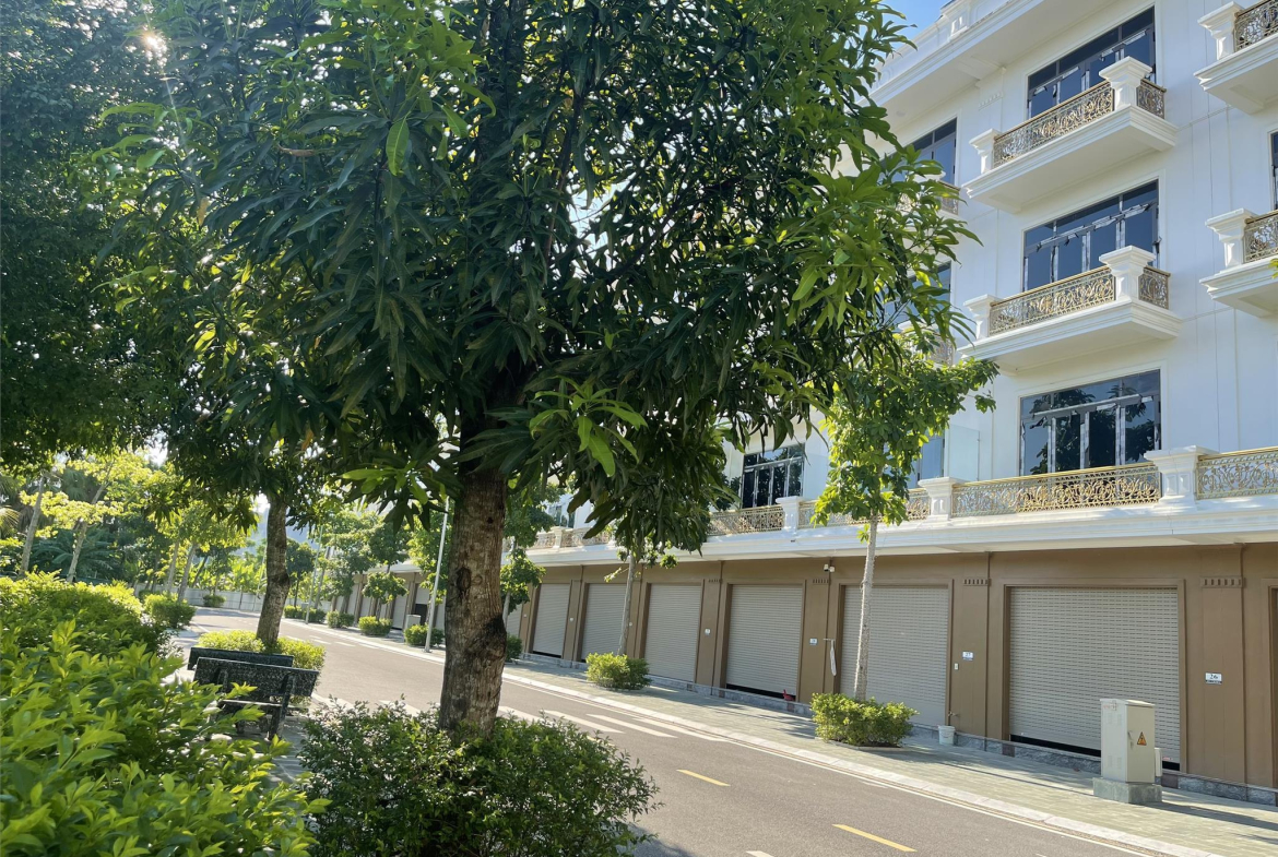 z5606047856034_aece0ab079bbd7cc679e2e32628a62a2