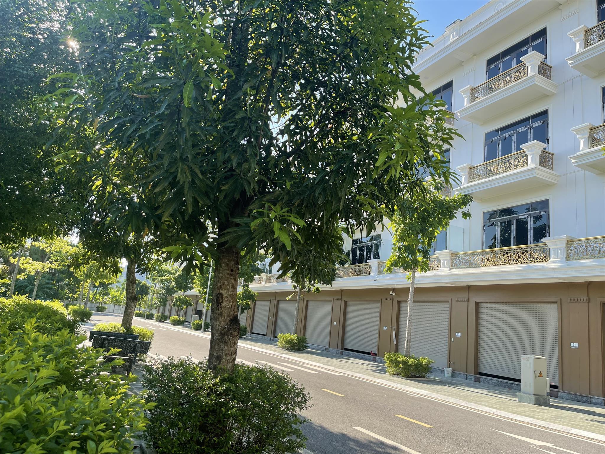 z5606047856034_aece0ab079bbd7cc679e2e32628a62a2