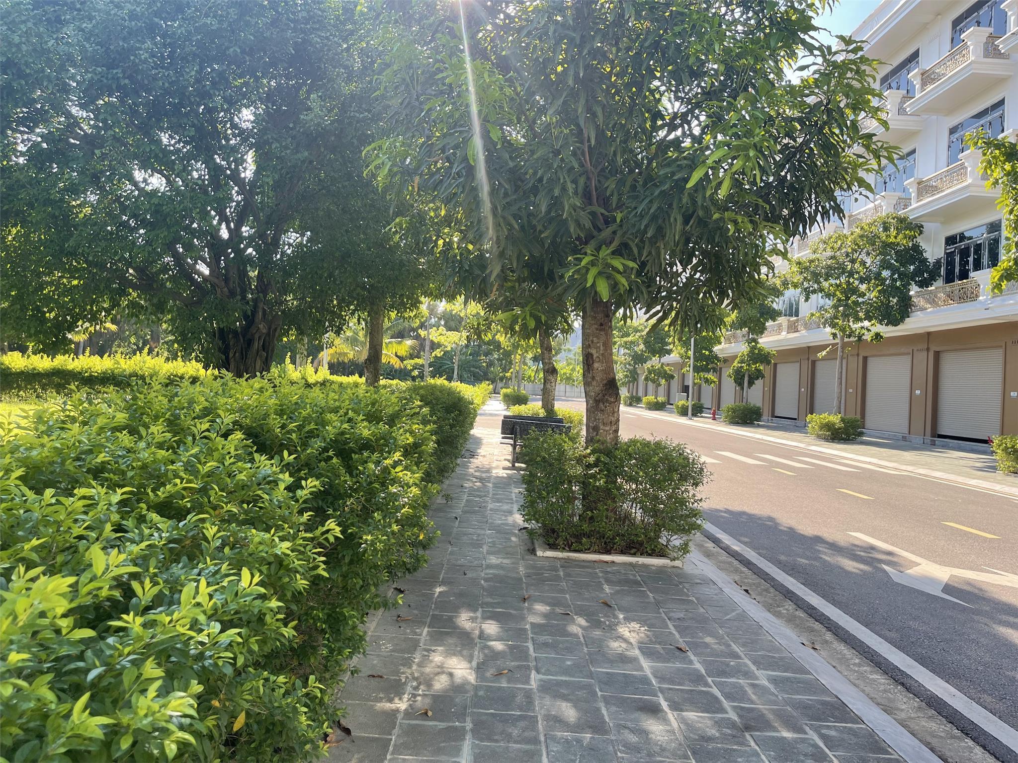 z5606047890262_1f2477eef19ef48954b03e12ac4d28bc.jpg_bak_638569995804877617.jpg_bak_638573460164460338