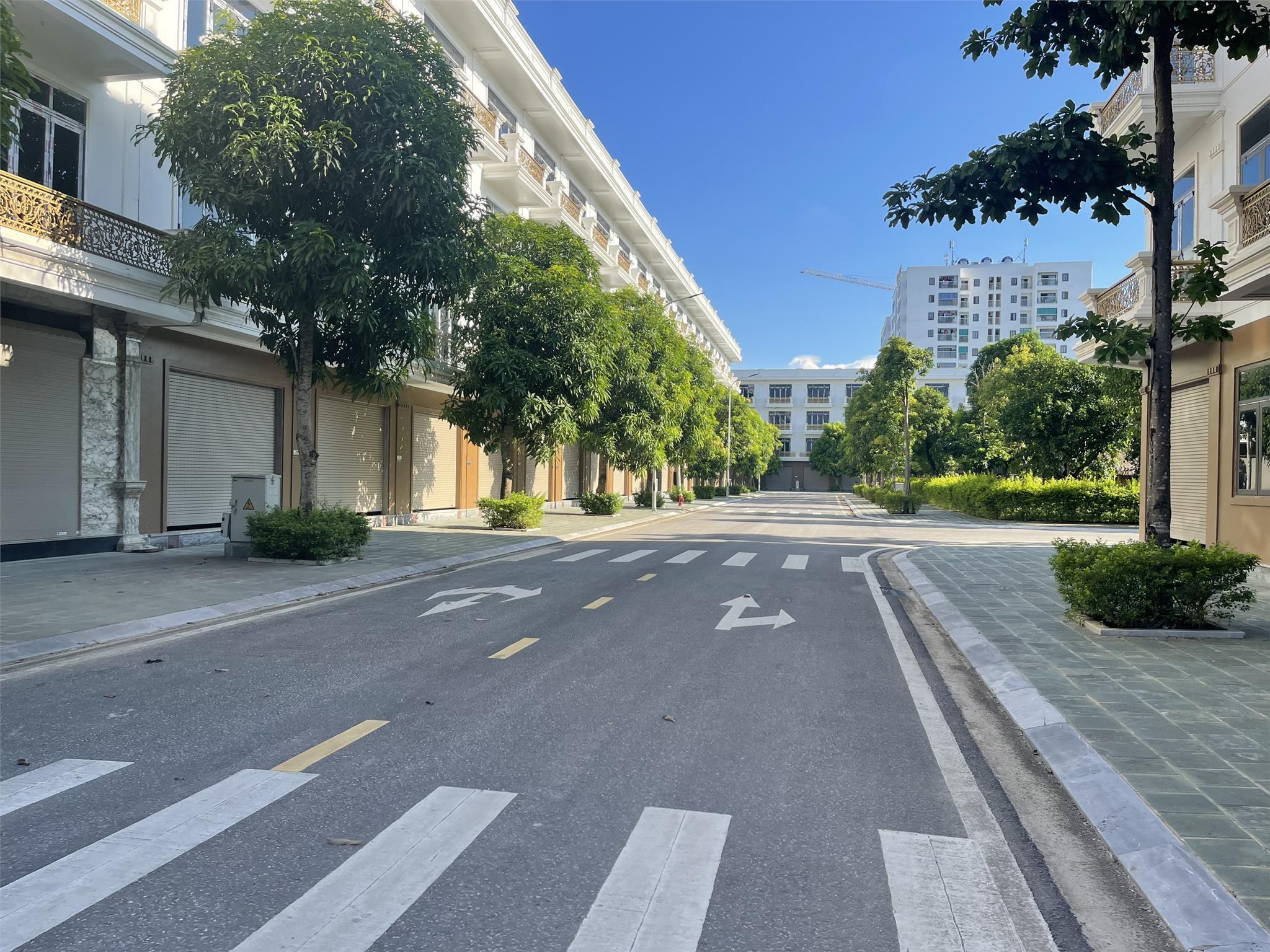 z5606048353965_94cb69781beb7c4ec83c5efc8f3fad2a.jpg_bak_638566508852582079.jpg_bak_638566510292250429