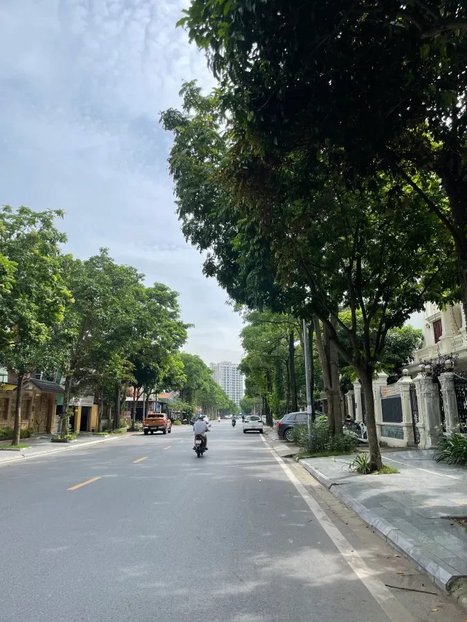 z5607363212074_954df5224212e82502a6adbb5a0a0a1c