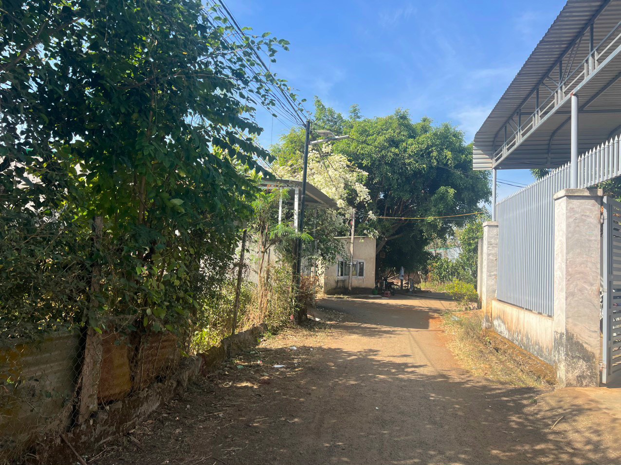 z5608607094320_fb915c1bf9474faf29a8801682a805fa