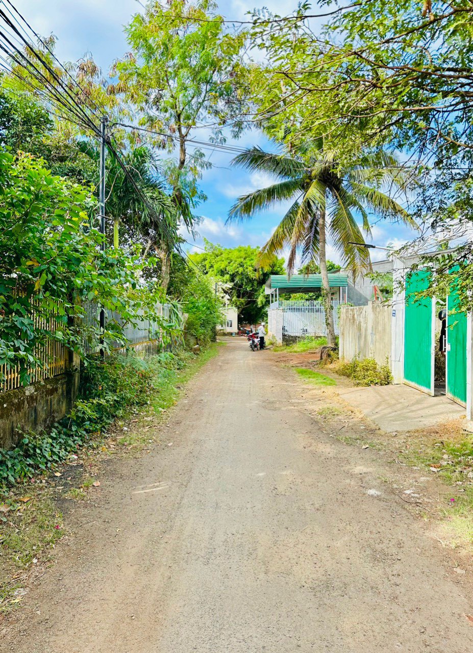 z5608607101172_74b503fe71d69ced4fd8a5b356f240cf