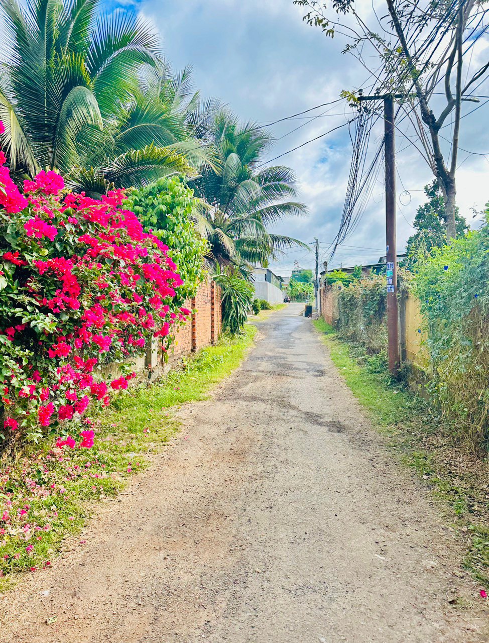 z5608607117037_a37bb4119496f972f9e6e502c27bcc6f