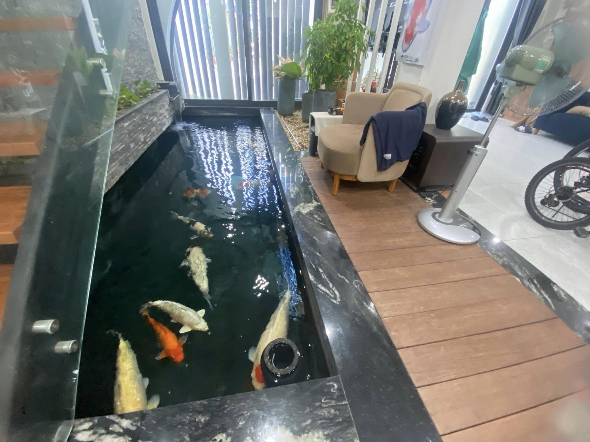 z5608944010524_a3a06e05c391c1e4907f6b09865e1b0c