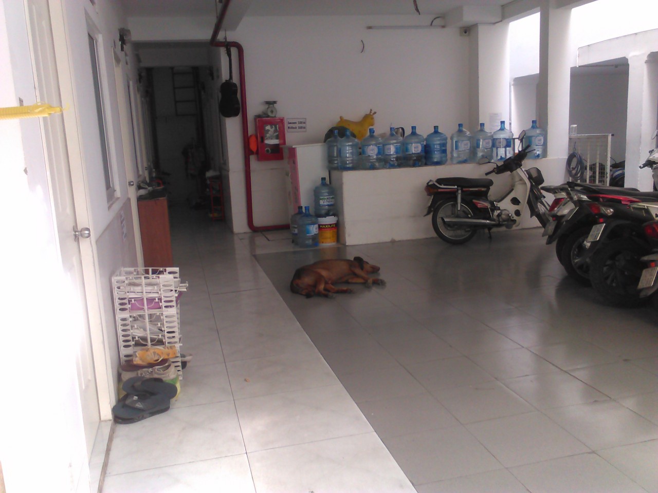 z5609341378329_2250e74753c38ce1cfbf1a0e23ad469c