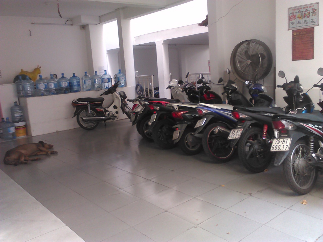 z5609341417375_3d72cf33420ff850e7ed52458430d49f