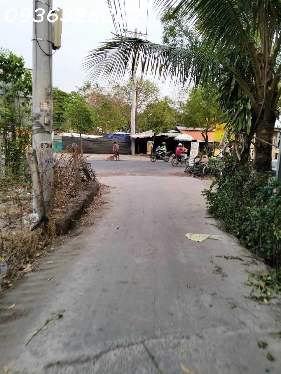 z5610220939379_1d7c9fa37ed5e42c597339d64c5d5b69