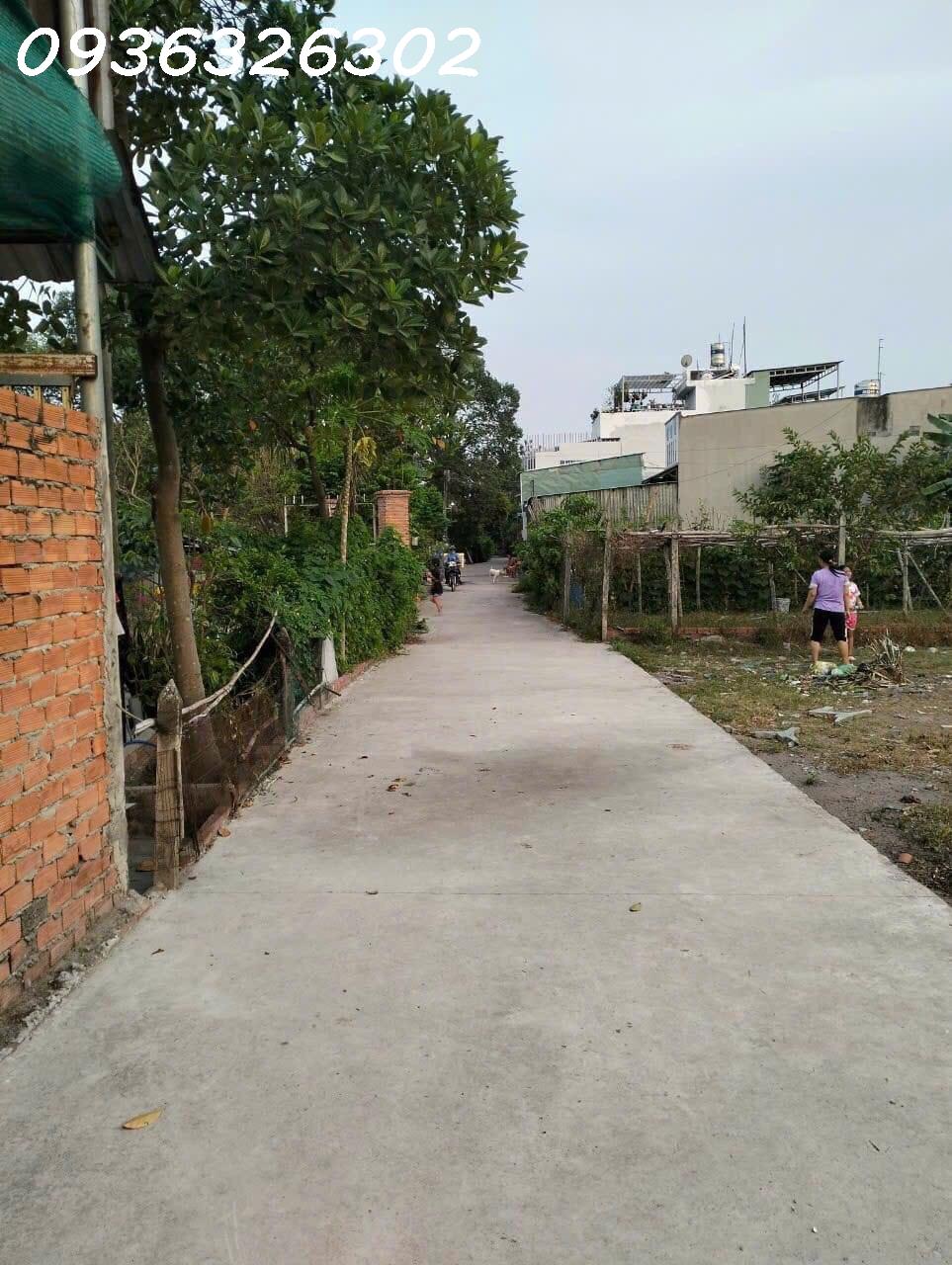 z5610220942166_3b072833fda10b64031e2ff9bf80906c