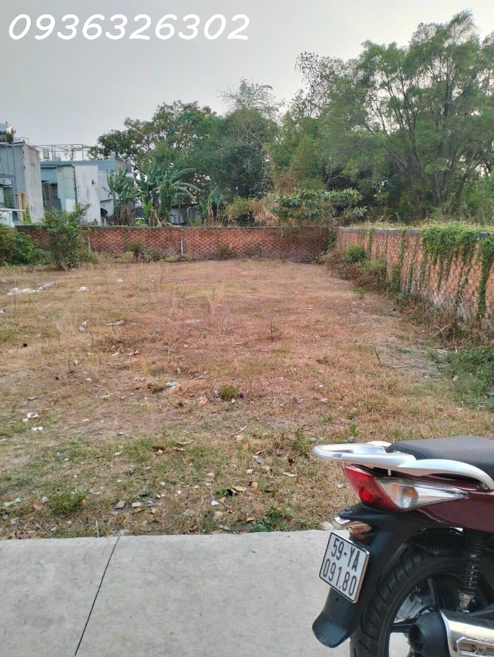 z5610220950374_d7dab7a56bb0803633b74257f8edf4fd