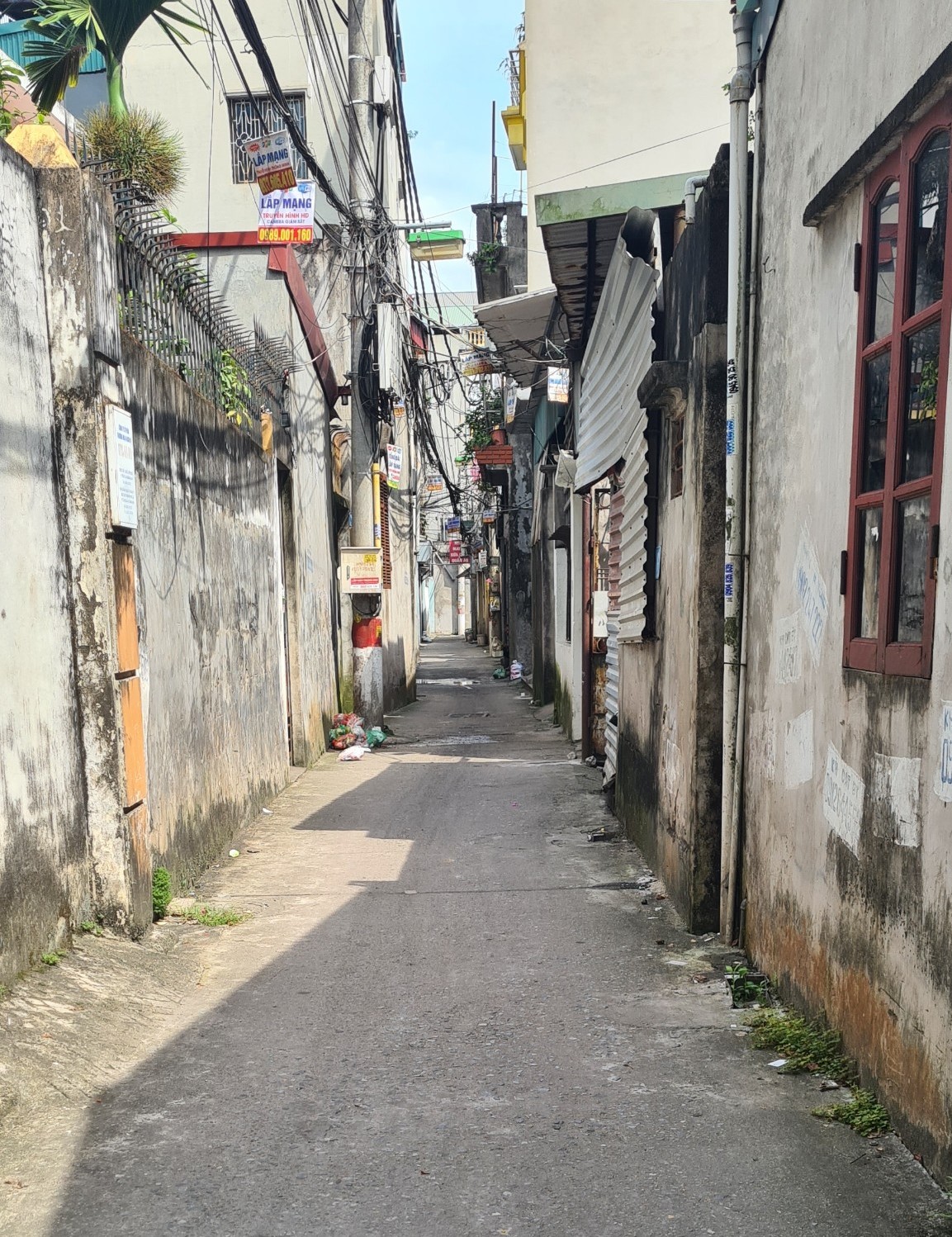 z5610235769537_fc81eea5462fb8d0a767e31c7b0d7954