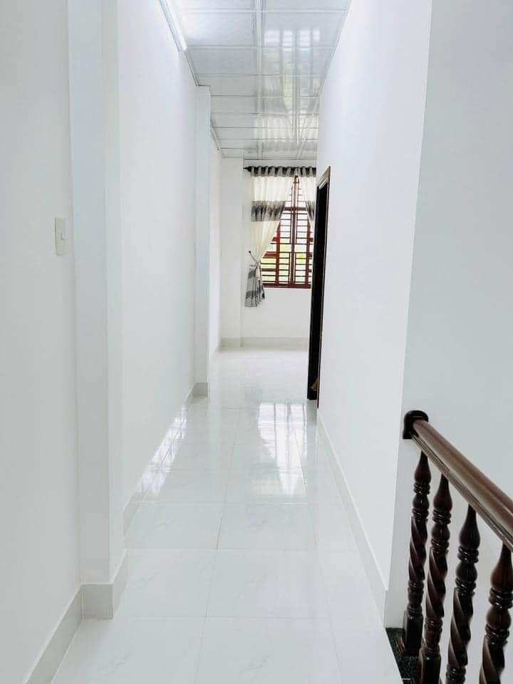 z5610890208843_9884c7abb36ed89259690b8dd2d3c1c7