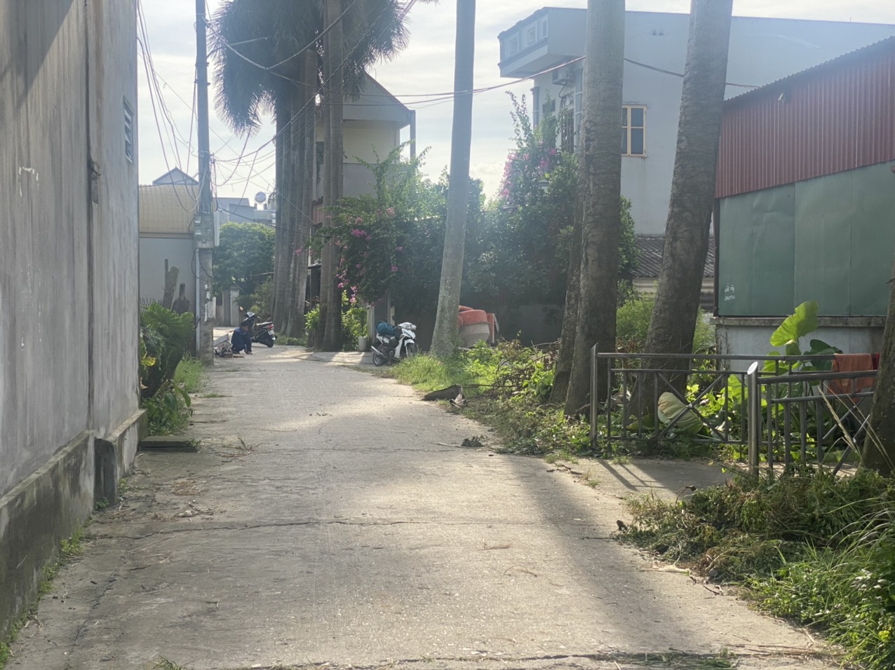 z5611979249419_0a5b9963d697a0106421f826553f4f08