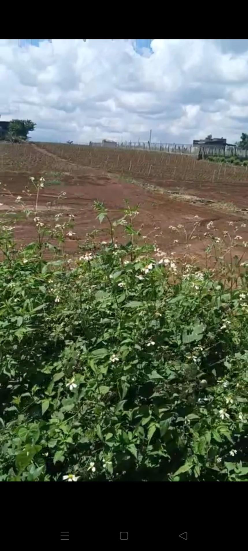 z5612064842500_aced60249f5319f7f5c33ed29d53cab1