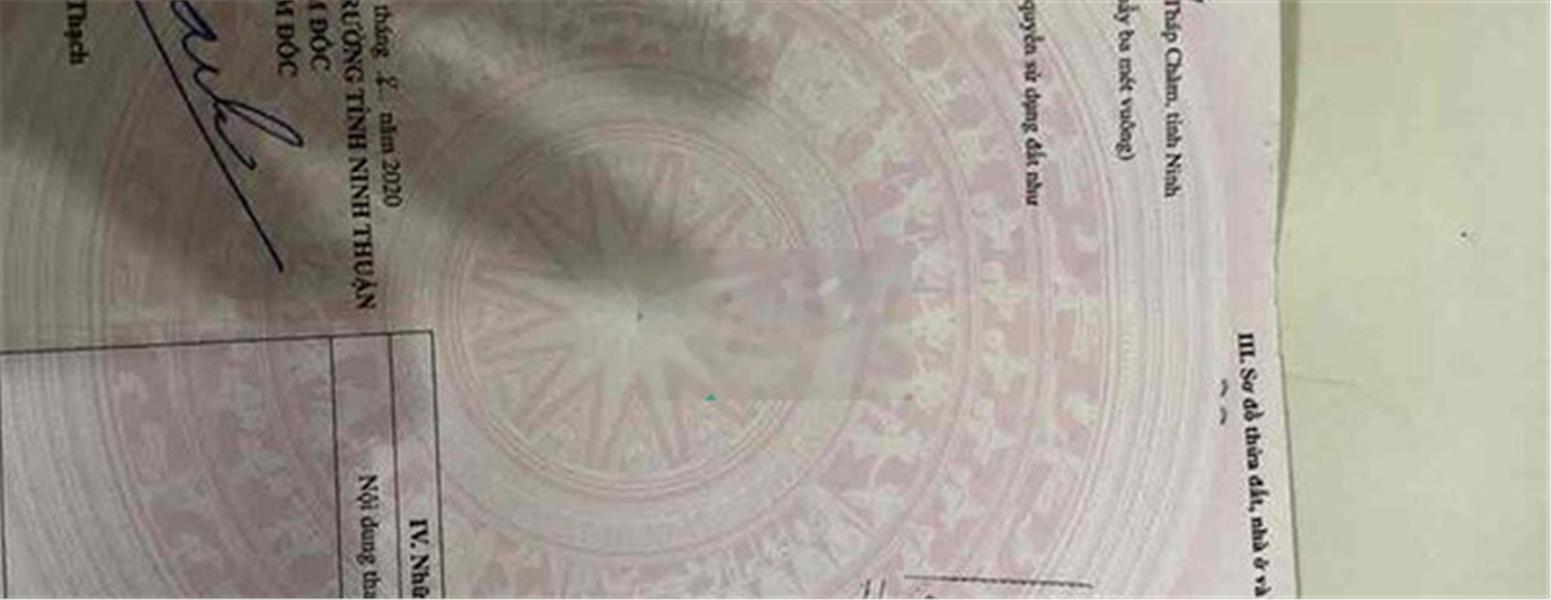 z5612395136153_ad8f444f8abe26135edac6796fda5a7f