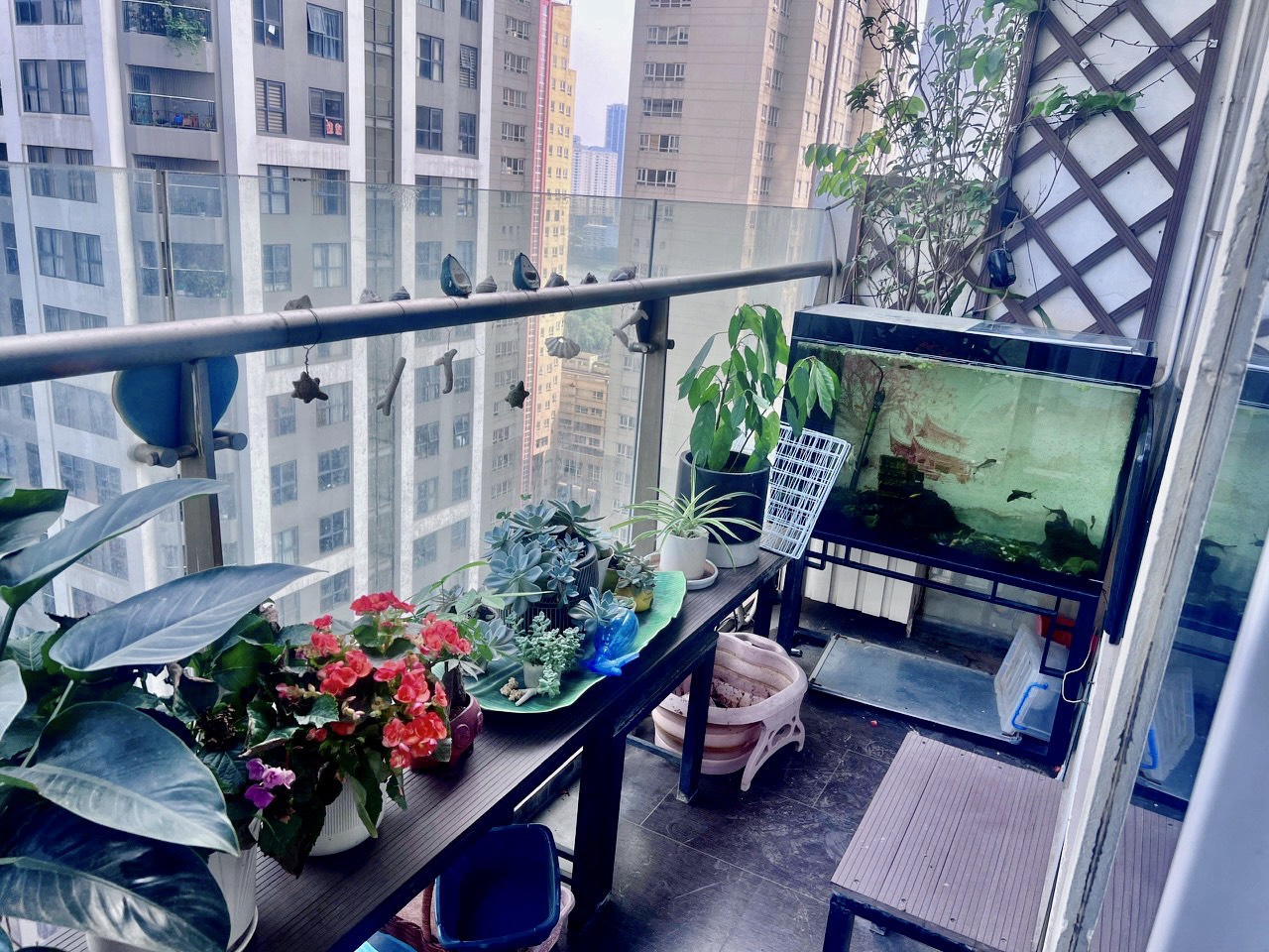 z5613286666118_ab06c725652496d1bcd21b0a9241d8de