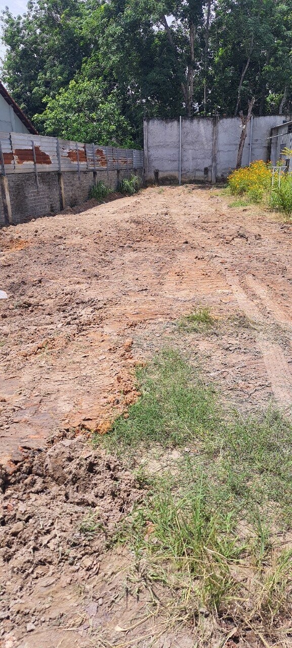 z5613432706964_e874771a058221ff6194b06f32a406b0