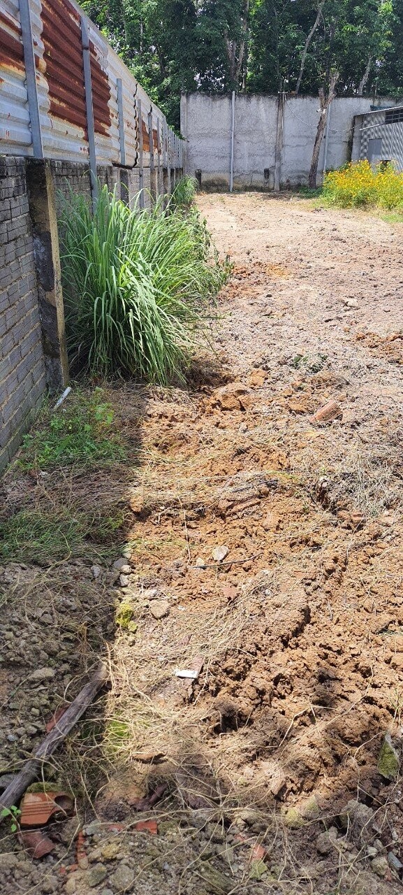 z5613432706965_41163cc5d86d495ab49af266d3d8b359