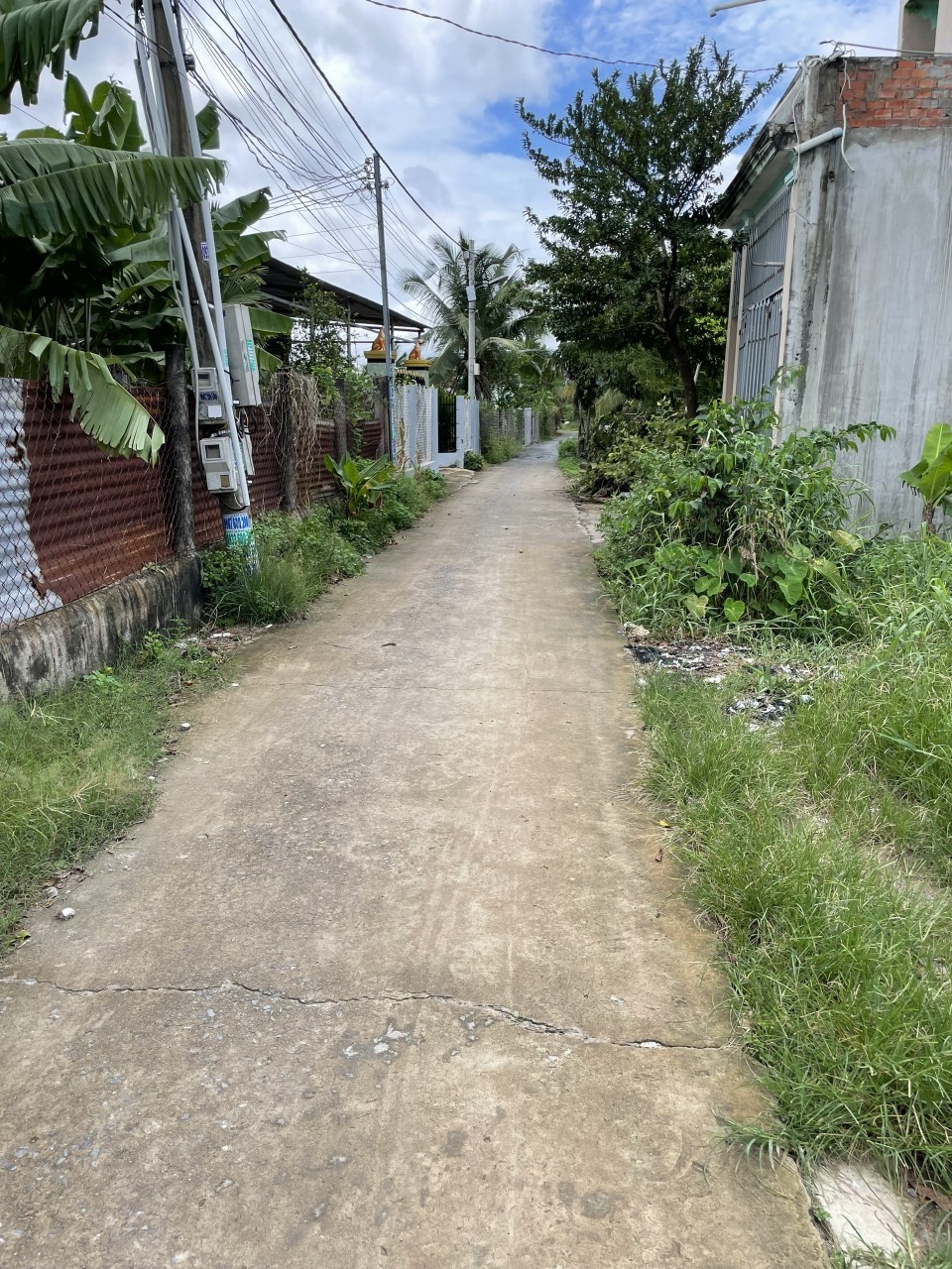 z5614188370238_8c69ee3943191b0e831c0c9a6fe27309