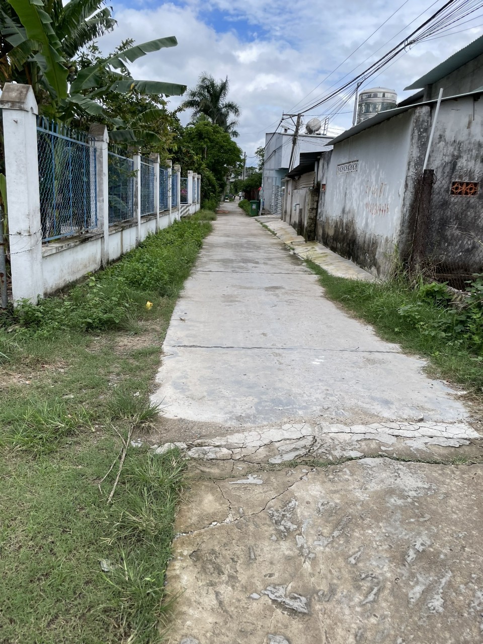 z5614188371617_ad88a9cedecc4a3fb46861eaf0269add