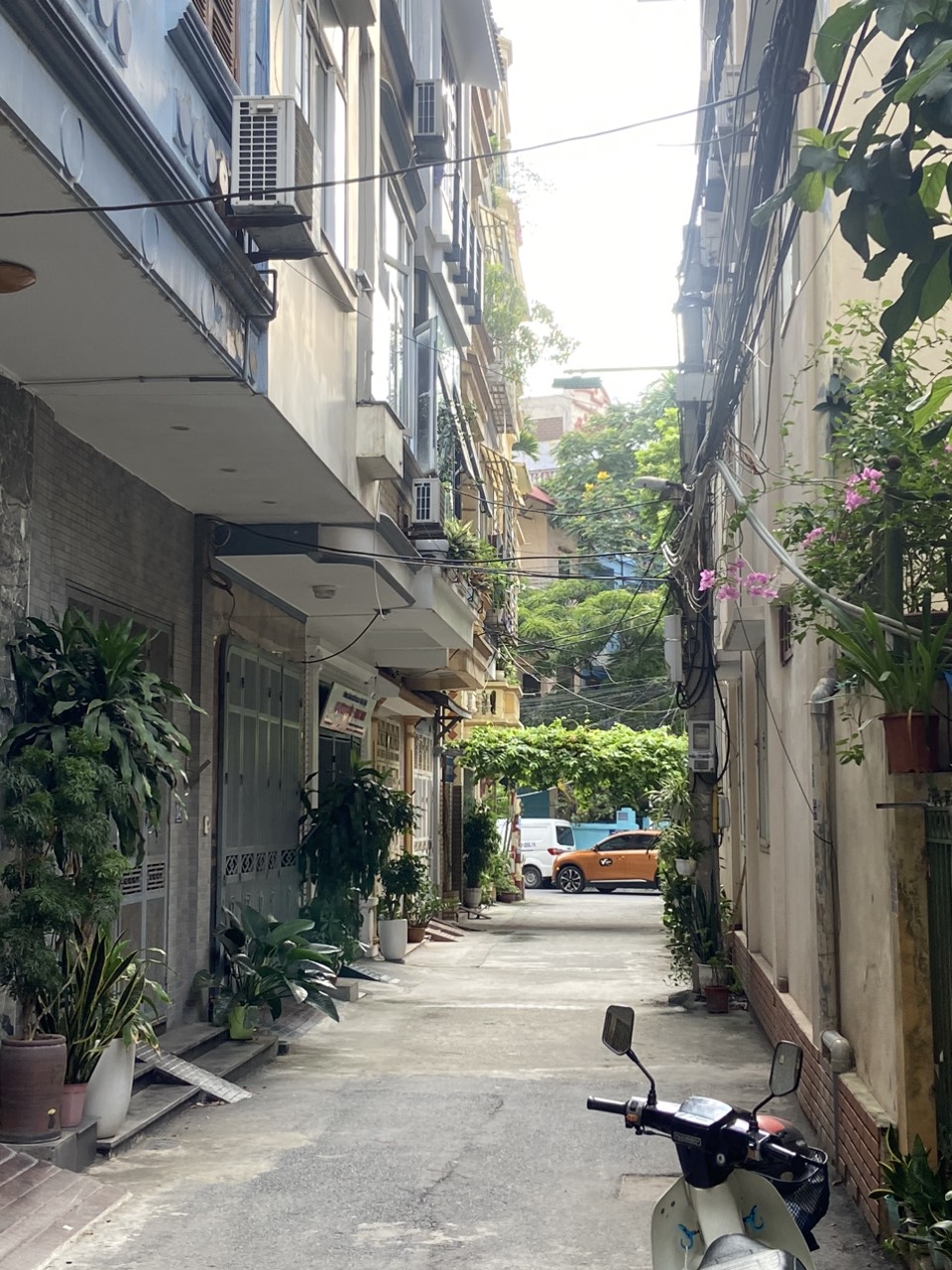 z5615149112873_e7147e9470039972526570bb3e2d6b88