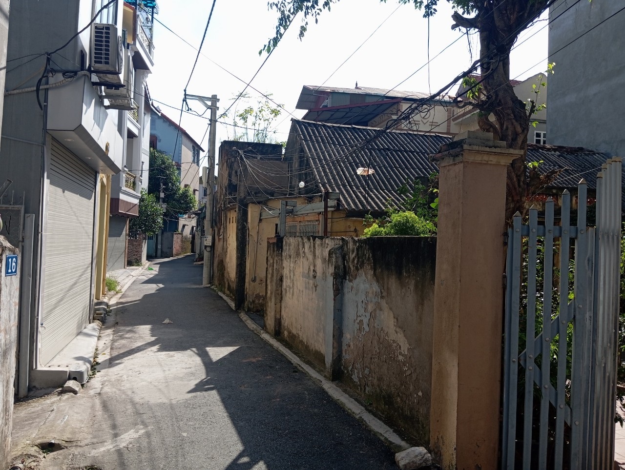 z5615752040323_7712bc745cced2f01c85b201c2bebd49