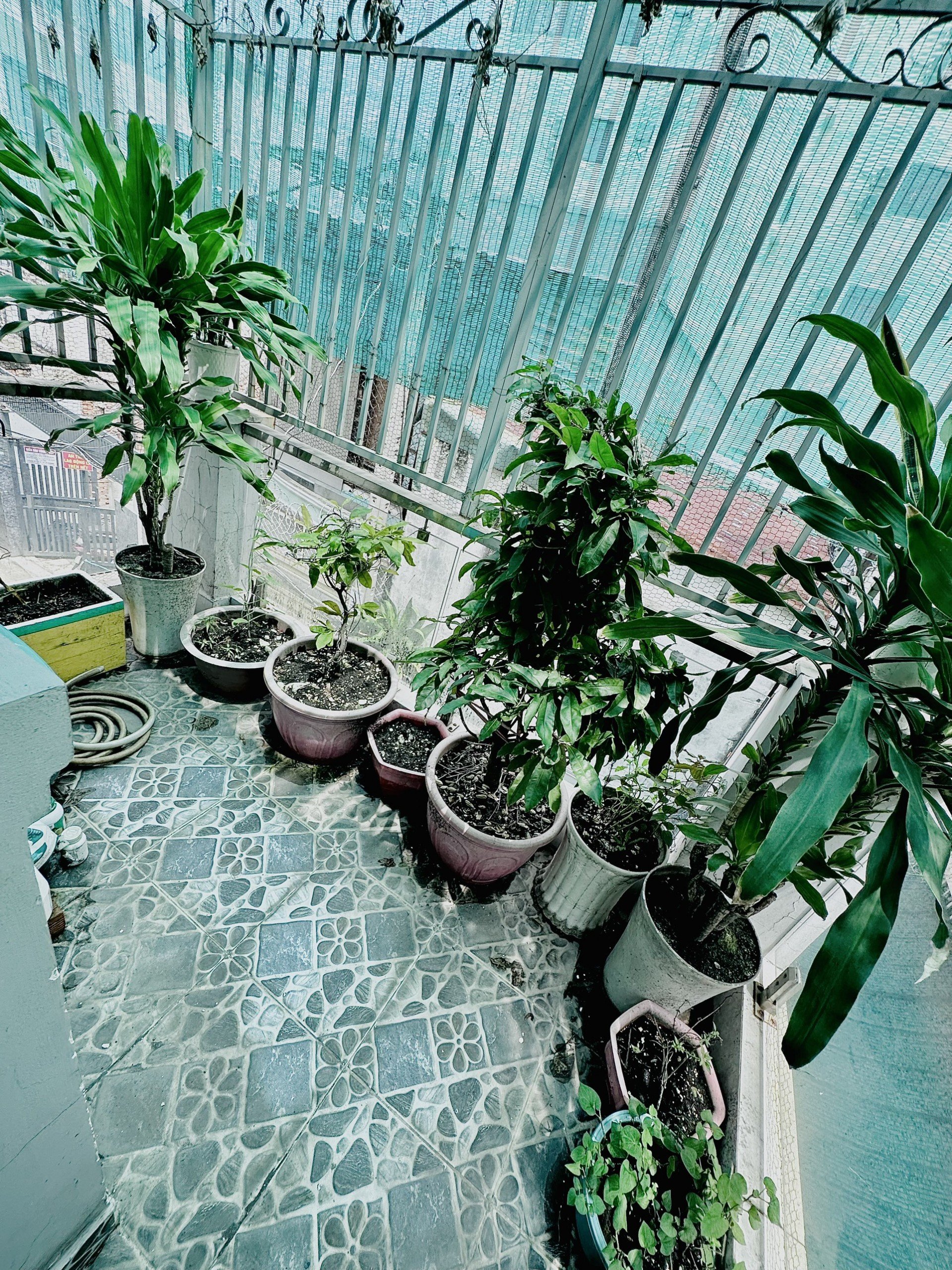 z5616224926700_14c090b942b4b676f457bceefaf77631