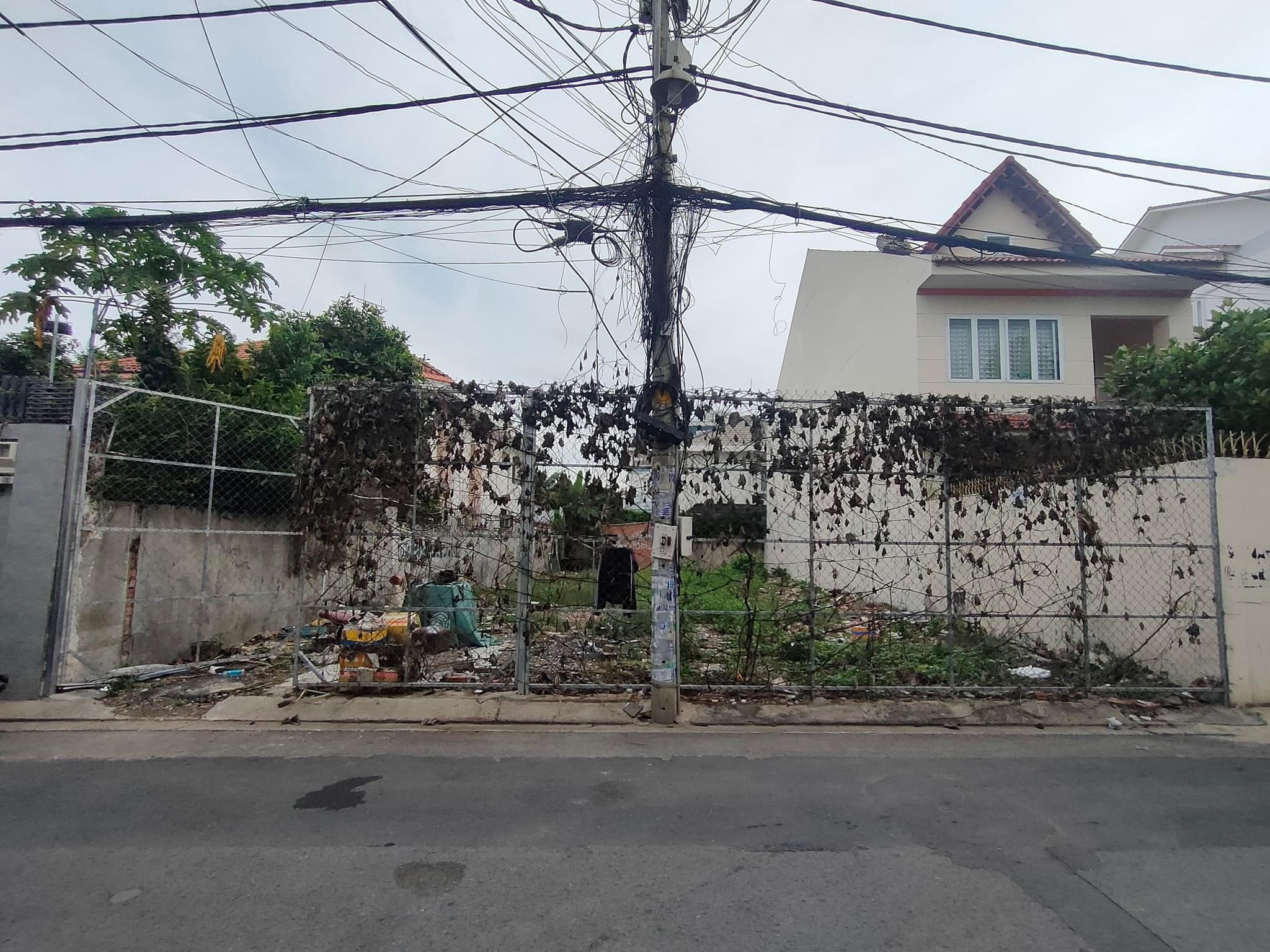 z5618620594704_8b197b914d67caf98199939dd29aaf38