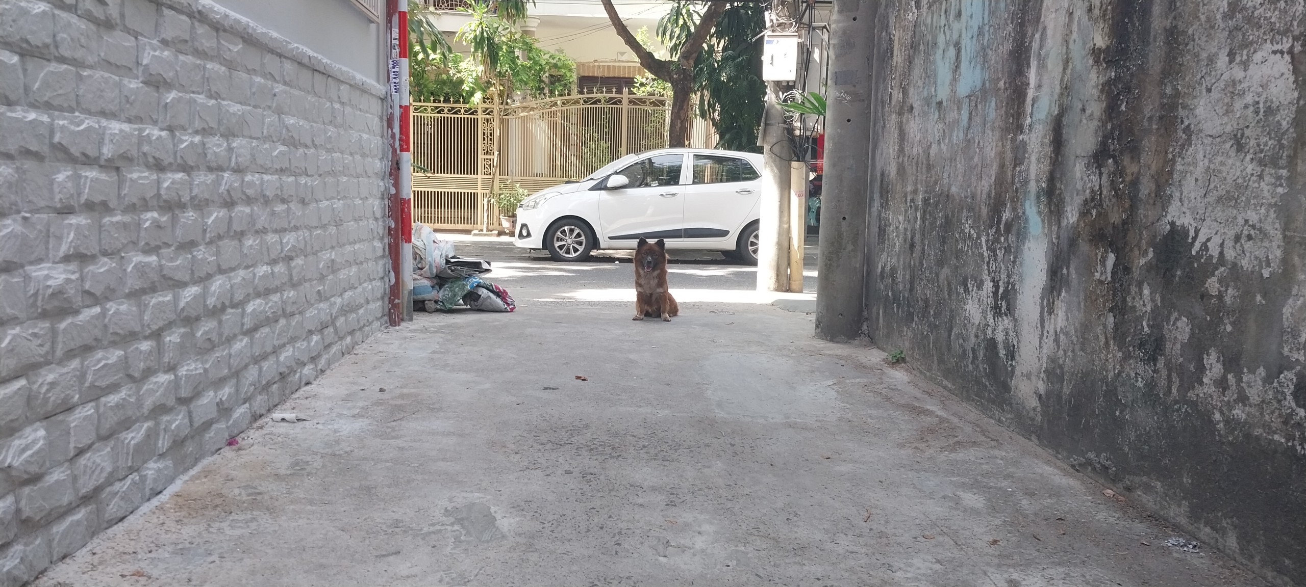 z5619551338480_aefd4e72f3140d4861ce9ea7142c5d96