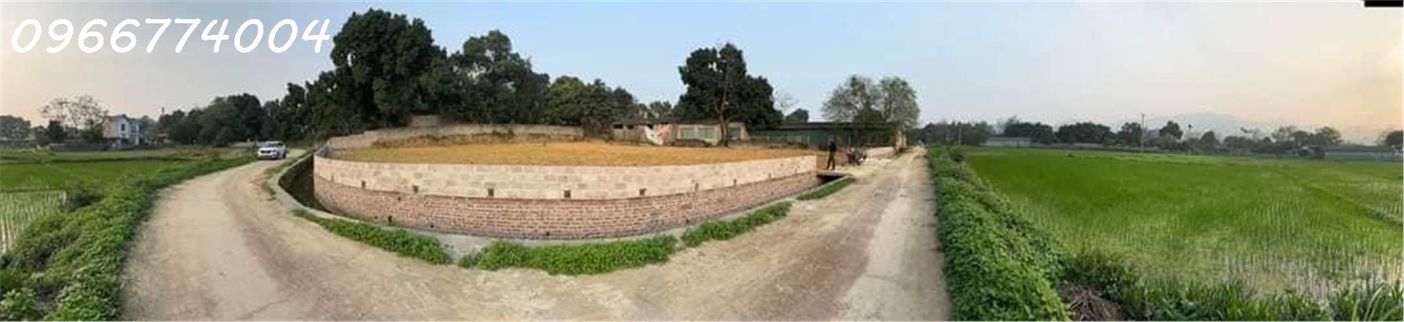 z5619600706422_0c922312cf3acefe3e471aa91921459b