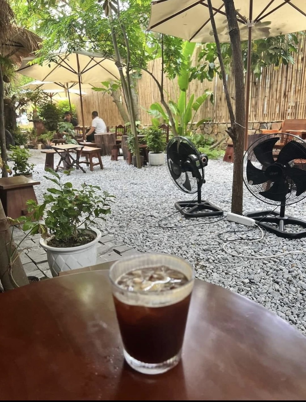 z5620259903655_f56af73747551dc7459d7827af0e7f40