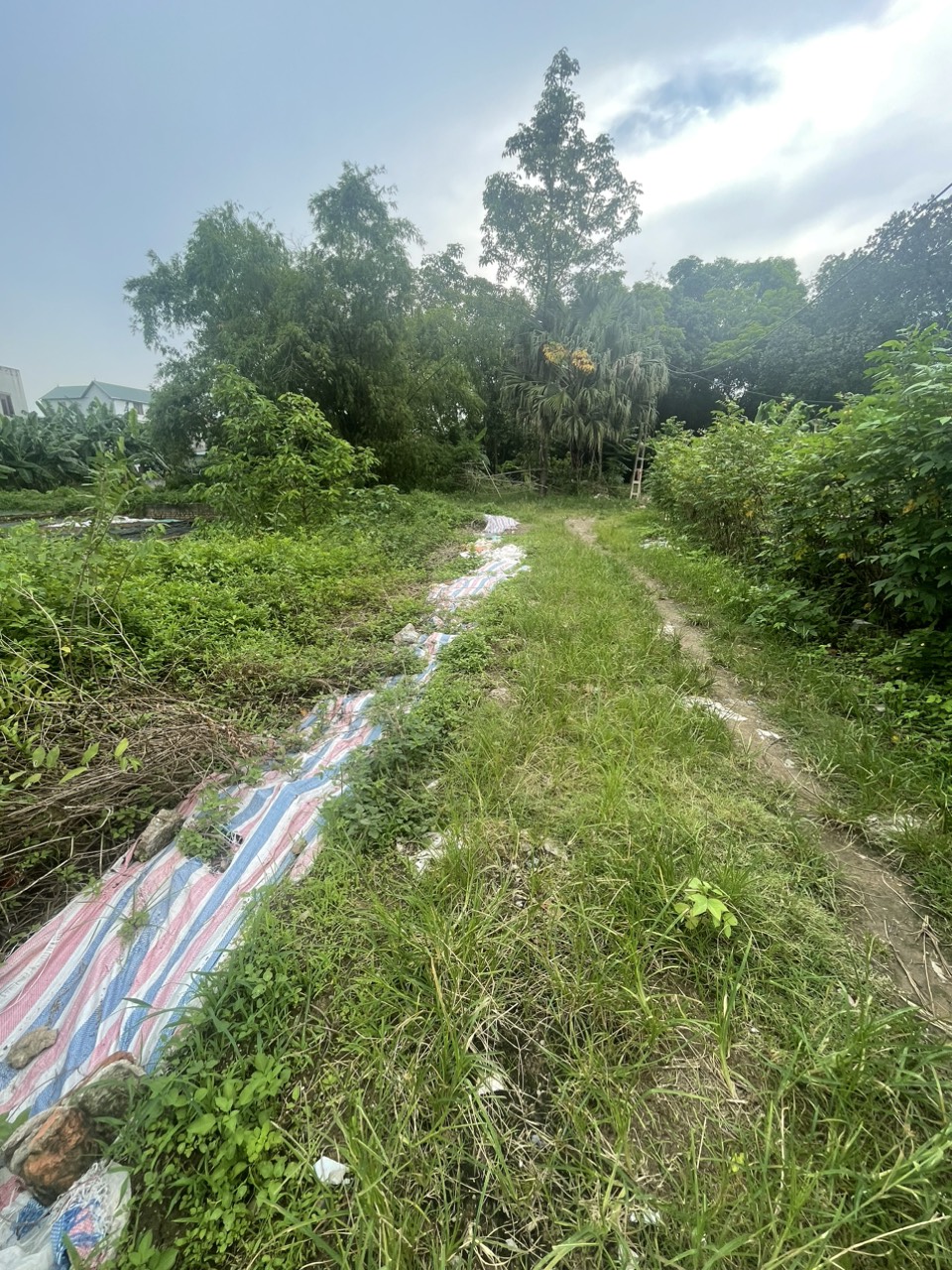 z5622321367017_9d6da4a25191aaa641d6f0a12c9f9bfa