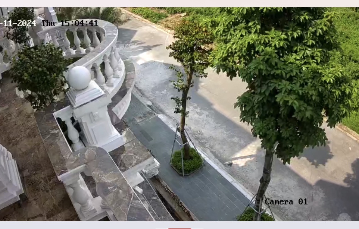 z5625036898422_cd1d0f9608cb951373f5f28d78016931