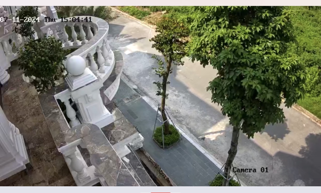 z5625036898422_cd1d0f9608cb951373f5f28d78016931